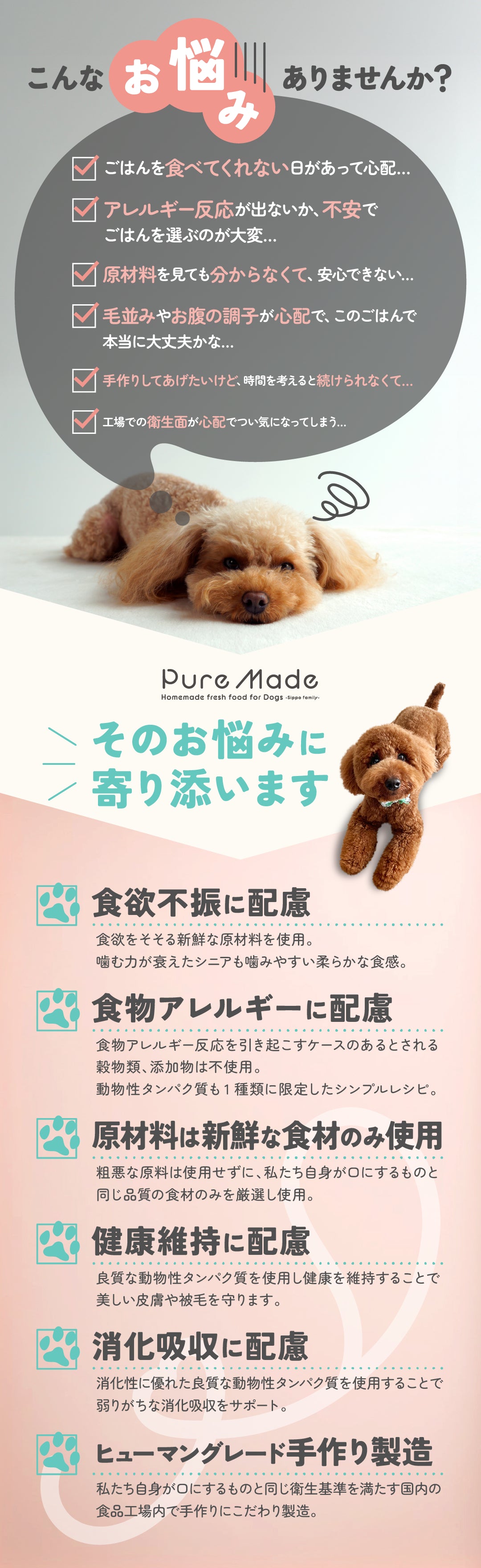 雨ニモマケズ、
