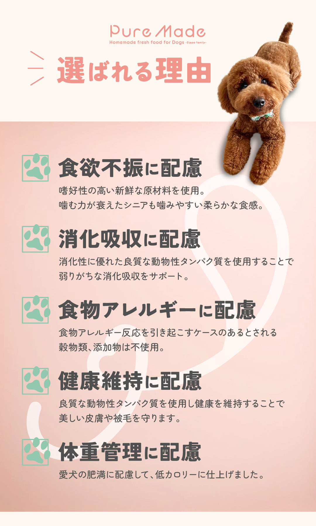 雨ニモマケズ、
