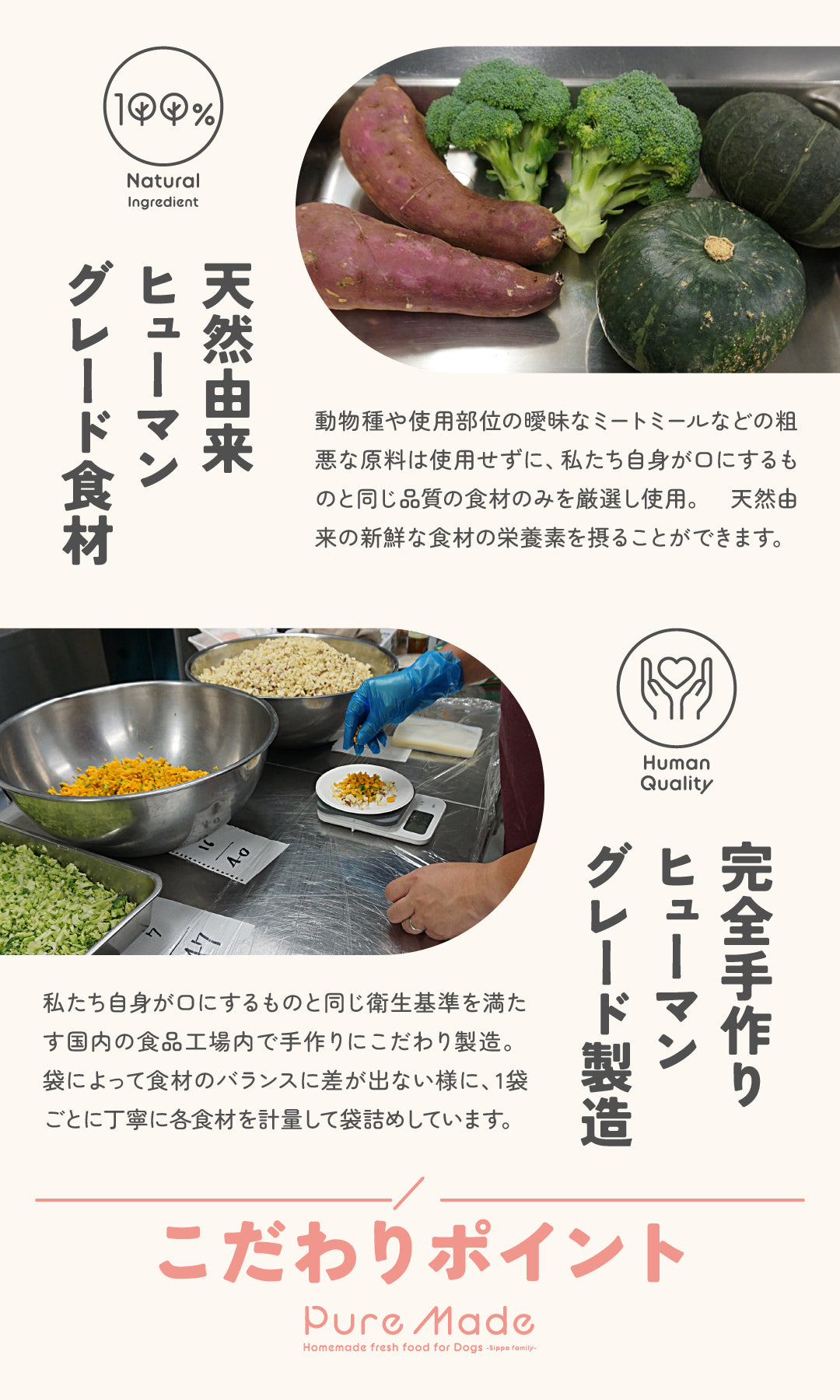 雨ニモマケズ、