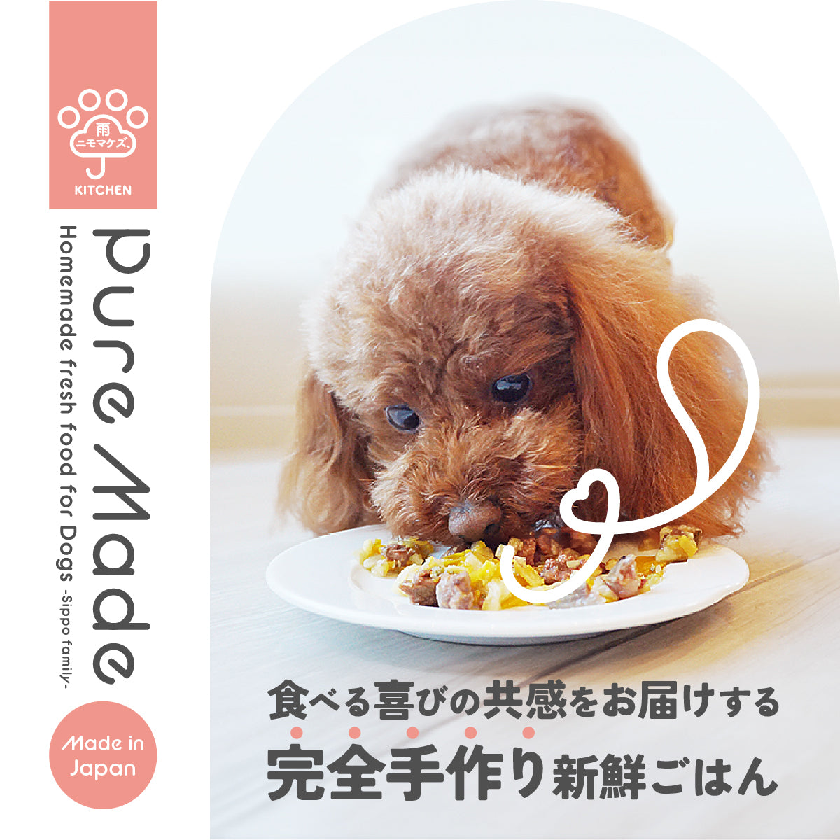 Pure Made おためし 選べる 4パックセット / 愛犬の完全手作り新鮮ごはん