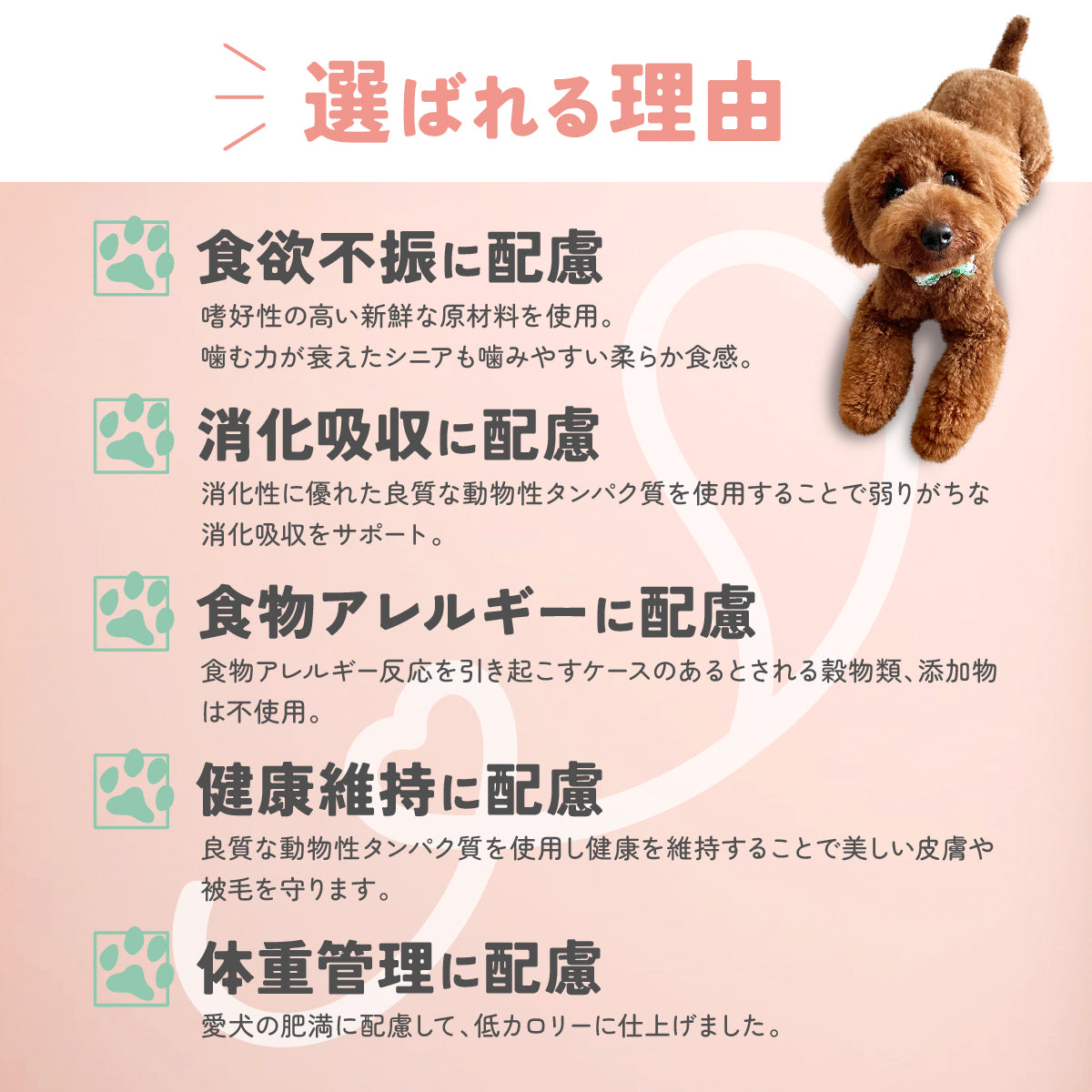 Pure Made おためし 選べる 4パックセット / 愛犬の完全手作り新鮮ごはん