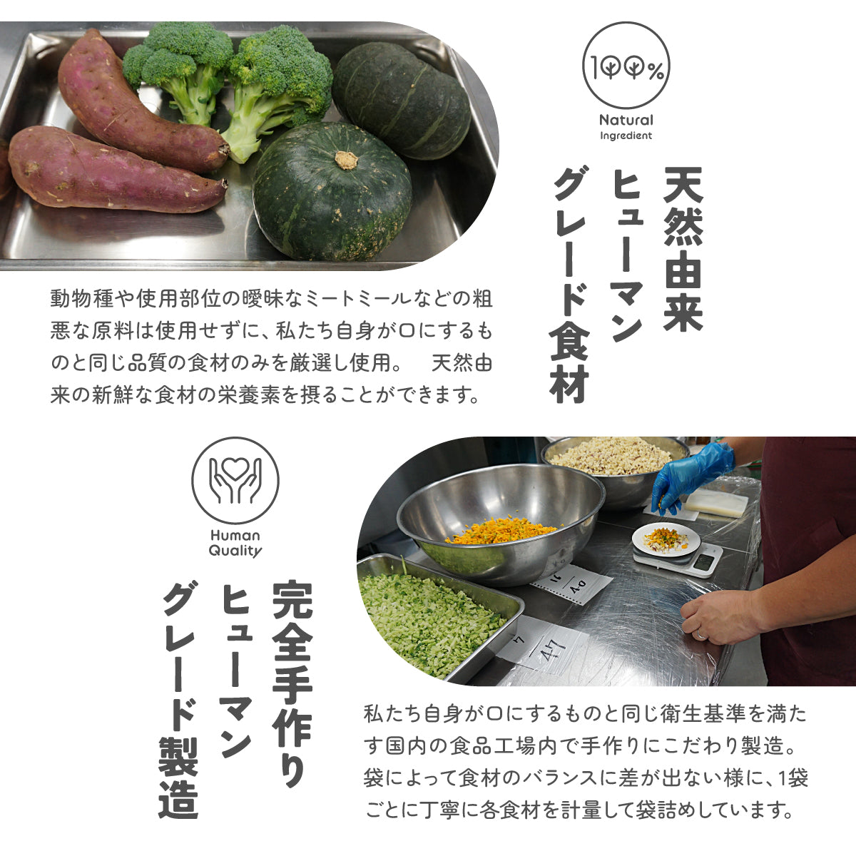 Pure Made おためし 選べる 4パックセット / 愛犬の完全手作り新鮮ごはん